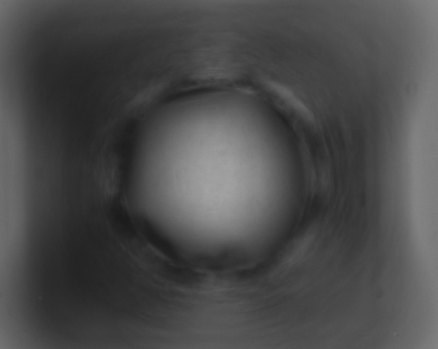 X0000100941350200807081226