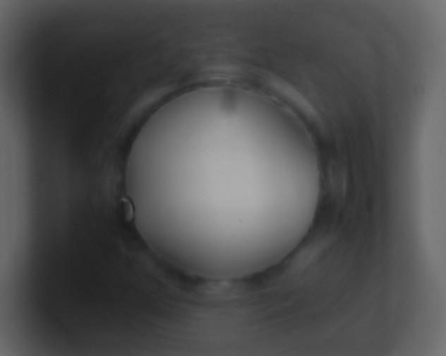 X0000100941352200807081226