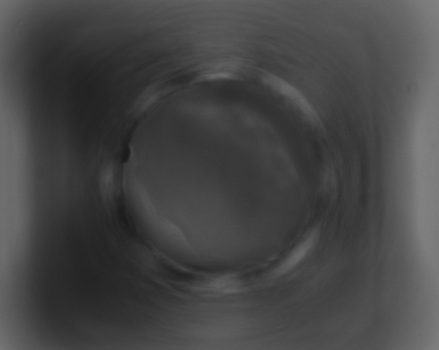 X0000100941353200807081226