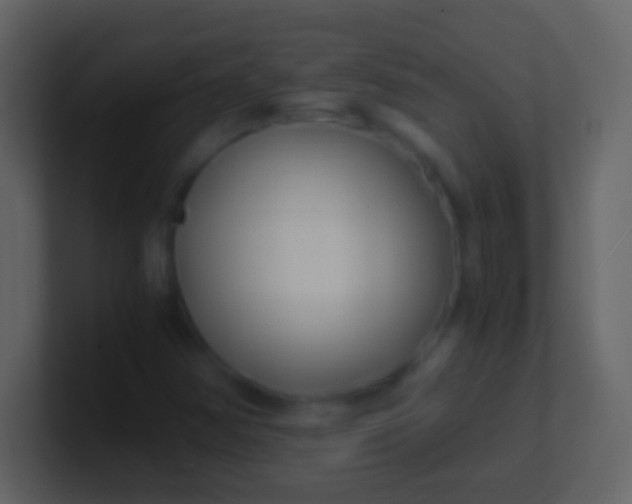 X0000100941354200807081226