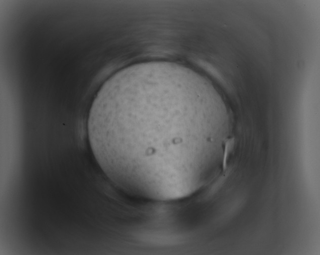 X0000100941355200807081226