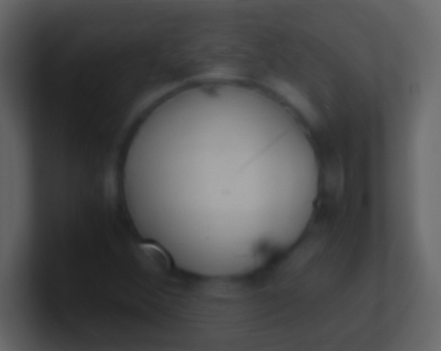 X0000100941356200807081225