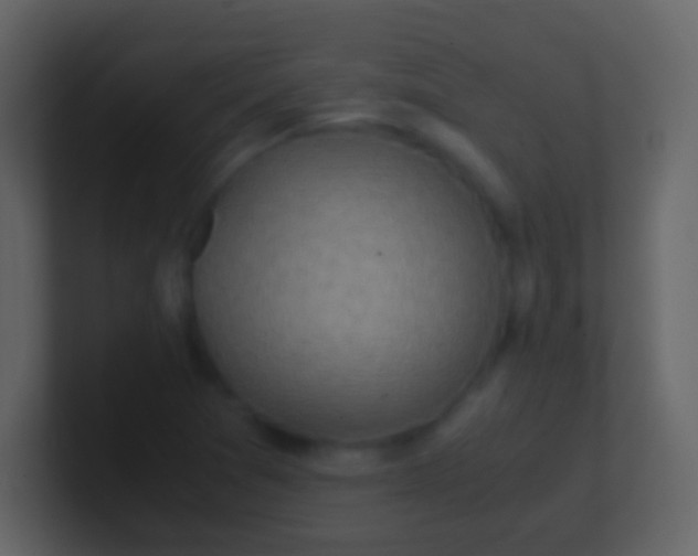 X0000100941361200807081225