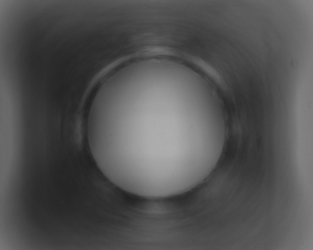 X0000100941364200807081225