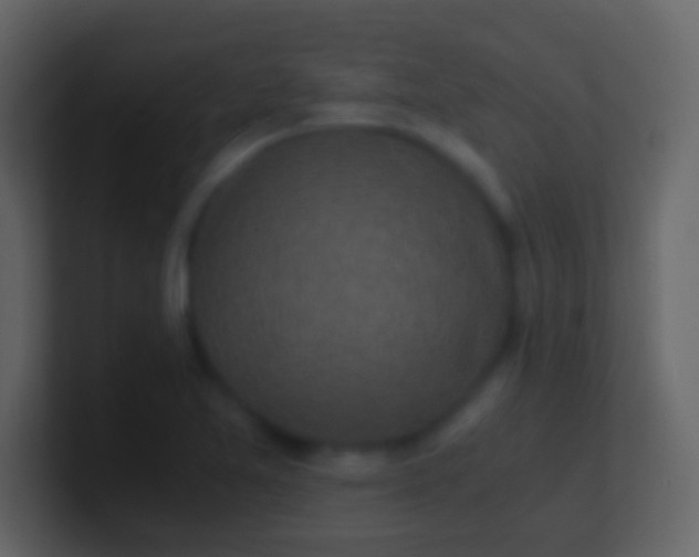 X0000100941365200807081225