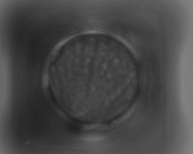 X0000100941367200807081225