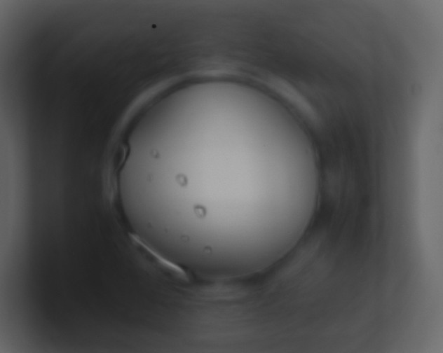 X0000100941368200807081225