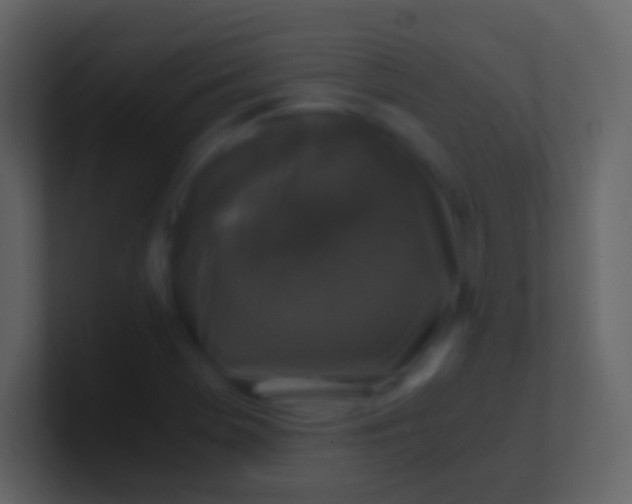 X0000100941369200807081225