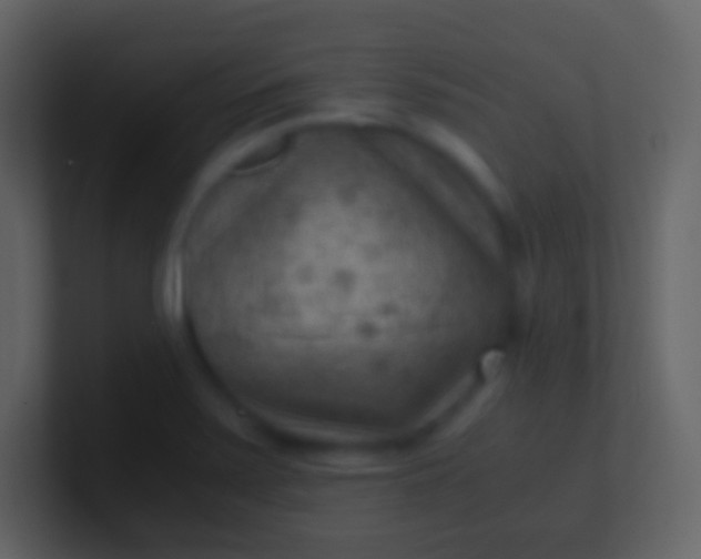 X0000100941371200807081225