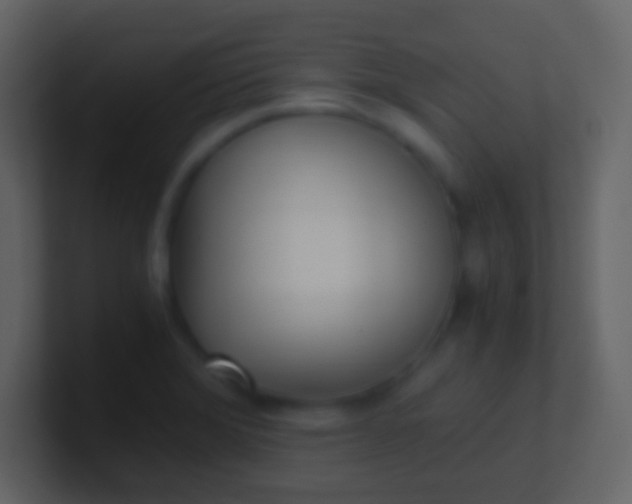 X0000100941372200807081225