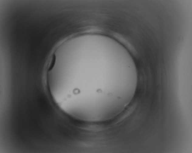 X0000100941375200807081225