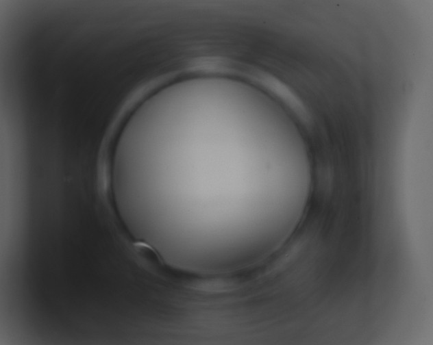 X0000100941376200807081225