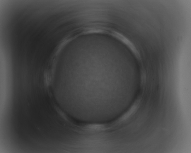 X0000100941377200807081225