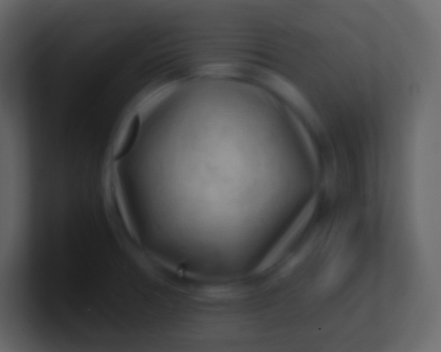 X0000100941378200807081225