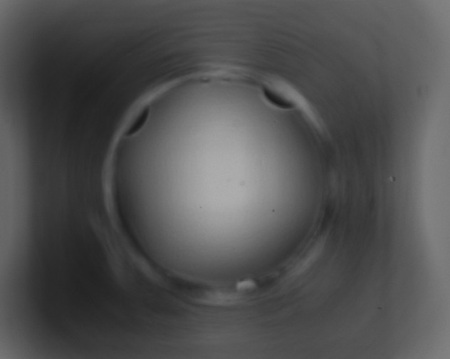 X0000100941379200807081225