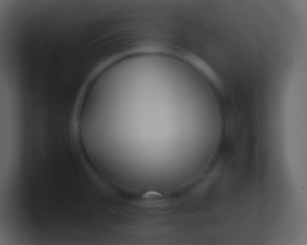 X0000100941380200807081225