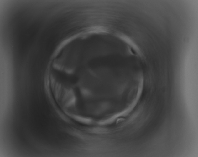 X0000100941383200807081225