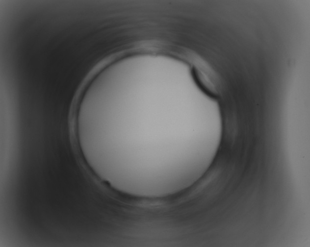 X0000100941384200807081225