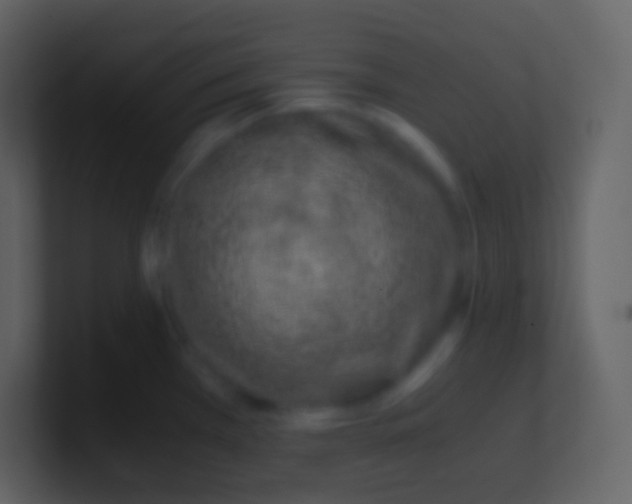 X0000100941385200807081225