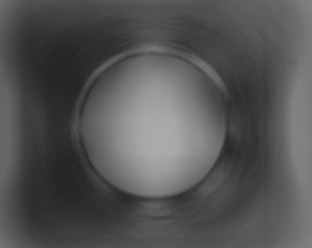 X0000100941388200807081225