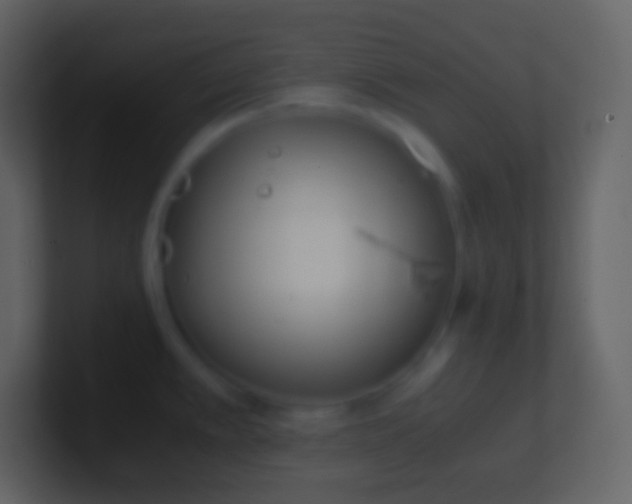 X0000100941389200807081225