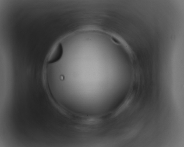 X0000100941390200807081225