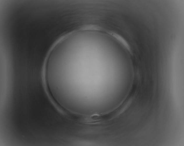 X0000100941391200807081225