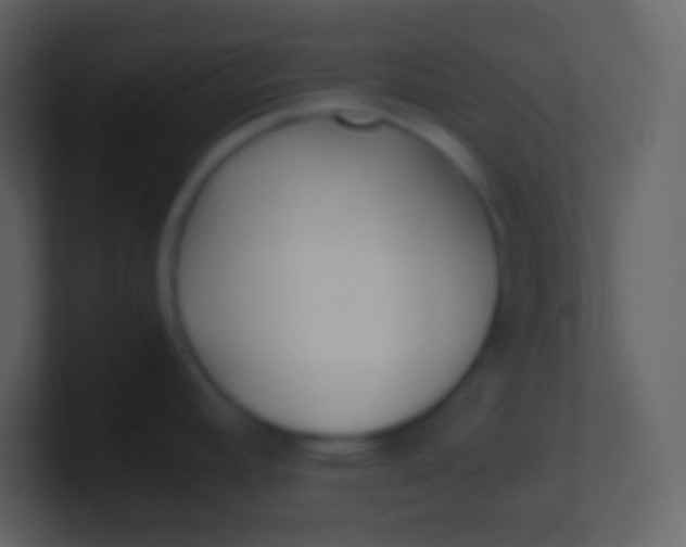 X0000100941392200807081225