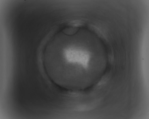 X0000100941393200807081224