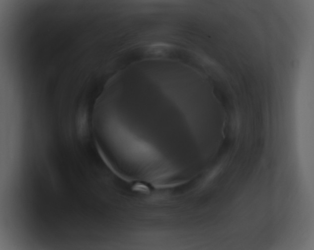 X0000100941394200807081224