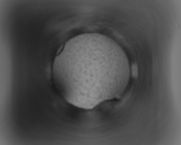 X0000100941395200807081224