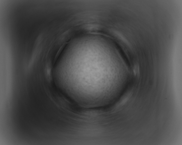 X0000100941396200807081224