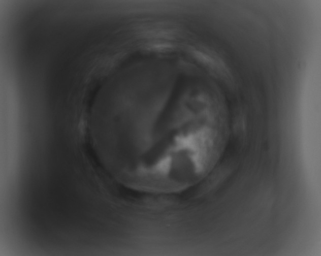 X0000100941397200807081224