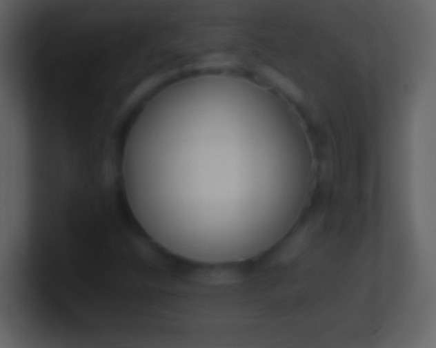 X0000100941400200807081224