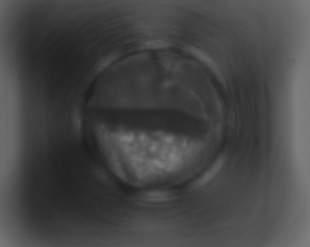 X0000100941401200807081224