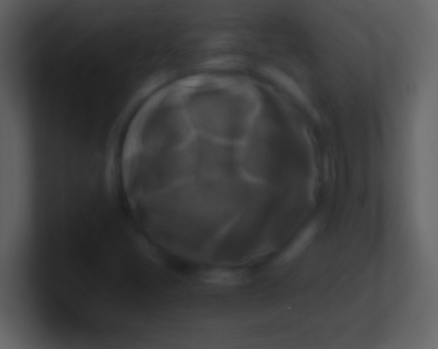 X0000100941405200807081224