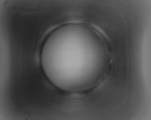 X0000100941408200807081224