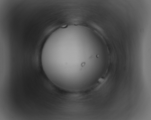 X0000100941410200807081225