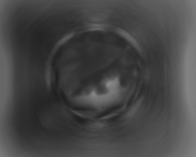 X0000100941411200807081225