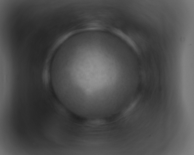 X0000100941415200807081225