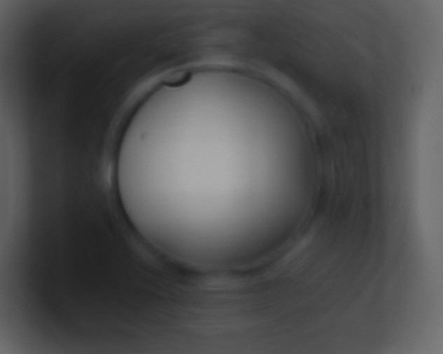 X0000100941416200807081225