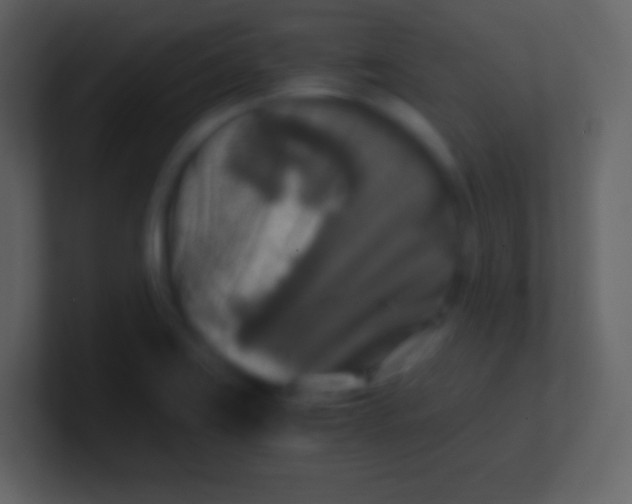 X0000100941419200807081225