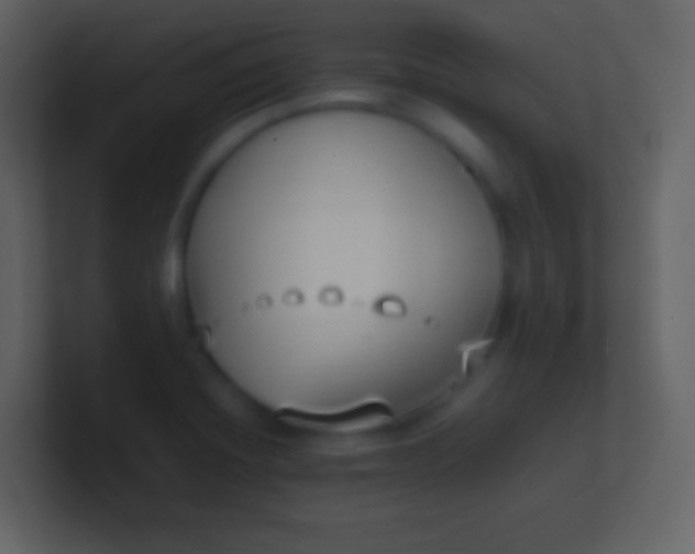 X0000100941420200807081225