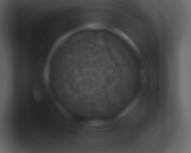 X0000100941421200807081225