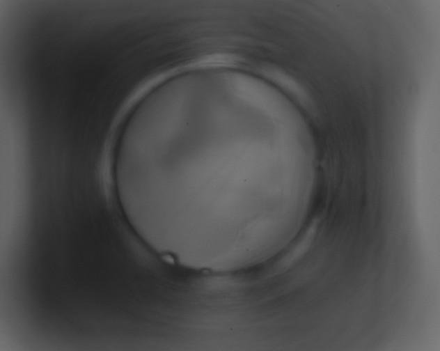 X0000100941422200807081225