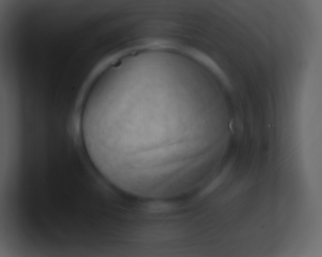 X0000100941424200807081225