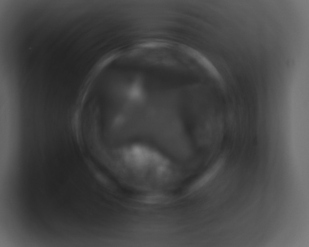 X0000100941425200807081225