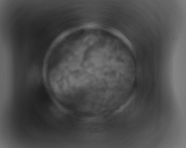 X0000100941429200807081225