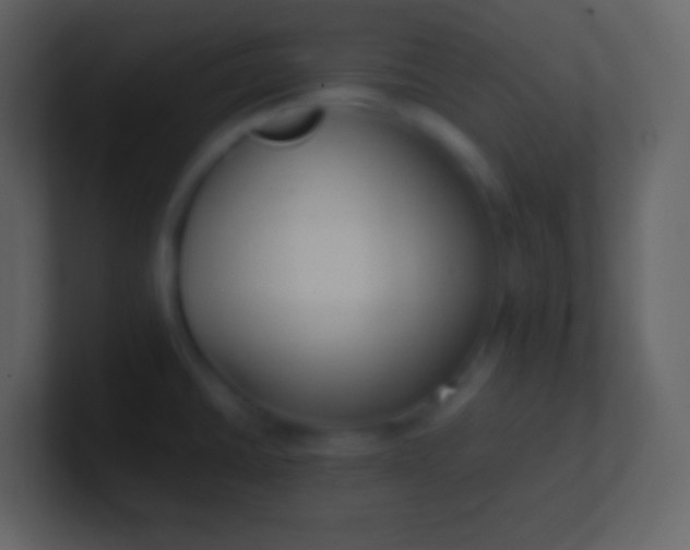 X0000100941430200807081225