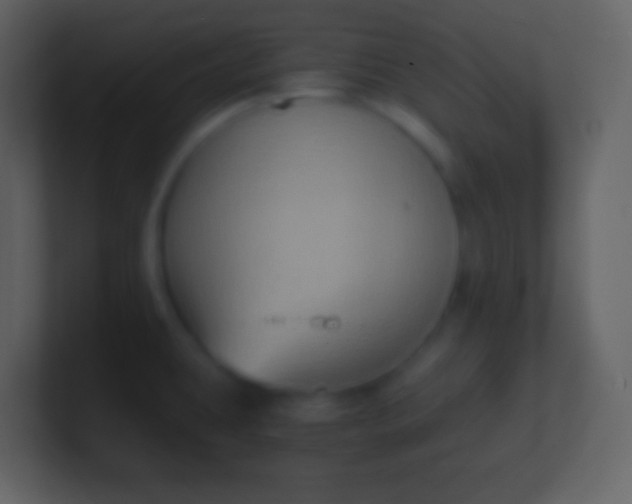 X0000100941431200807081225